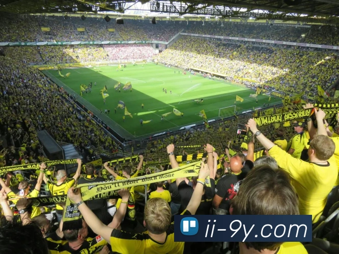 九游官网服务体系